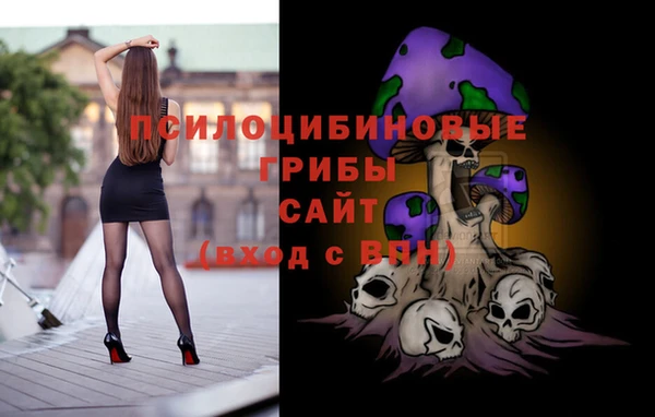 ECSTASY Алзамай