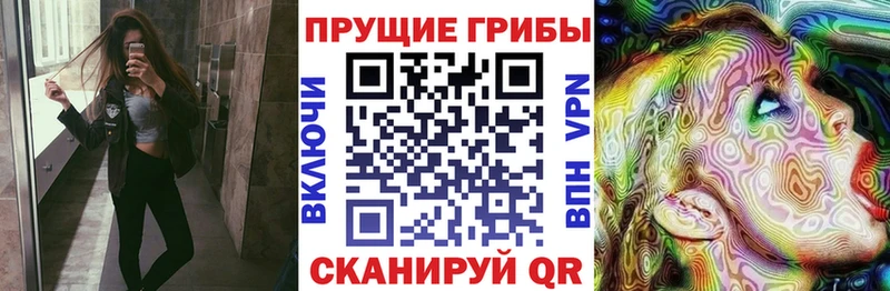 магазин продажи наркотиков  omg сайт  Галлюциногенные грибы мицелий  Азнакаево 
